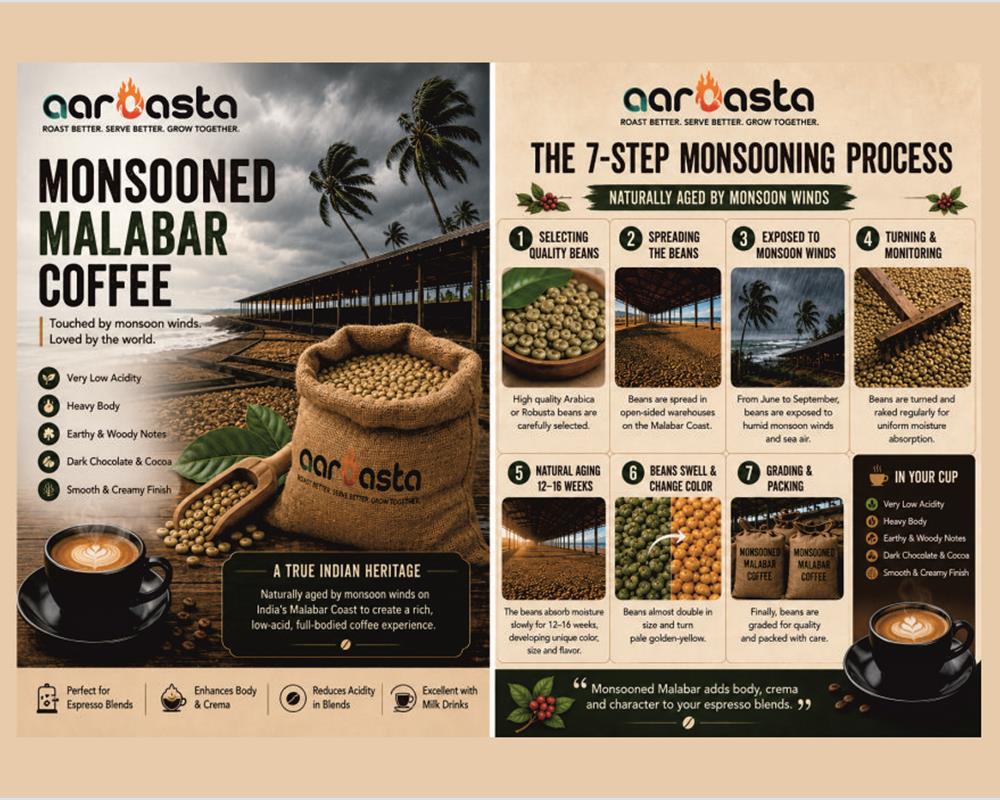India's Coffee Secret: The Story of Monsooned Malabar