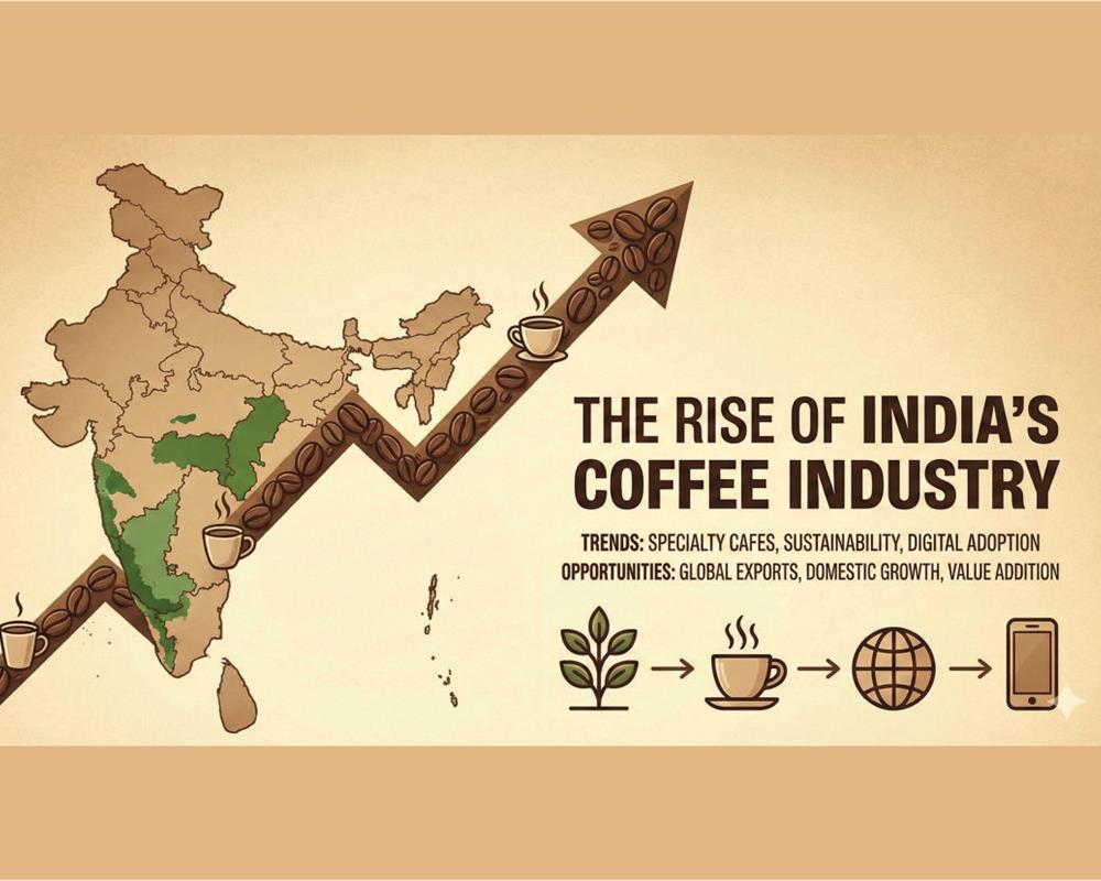 The Rise of India’s Coffee Industry: Trends, Opportunities
